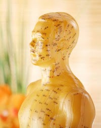 Acupuncture  Chinese Herbal Medicine 725298 Image 0